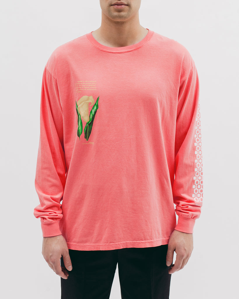 Lily L/S Jersey - Melon - Maiden Noir