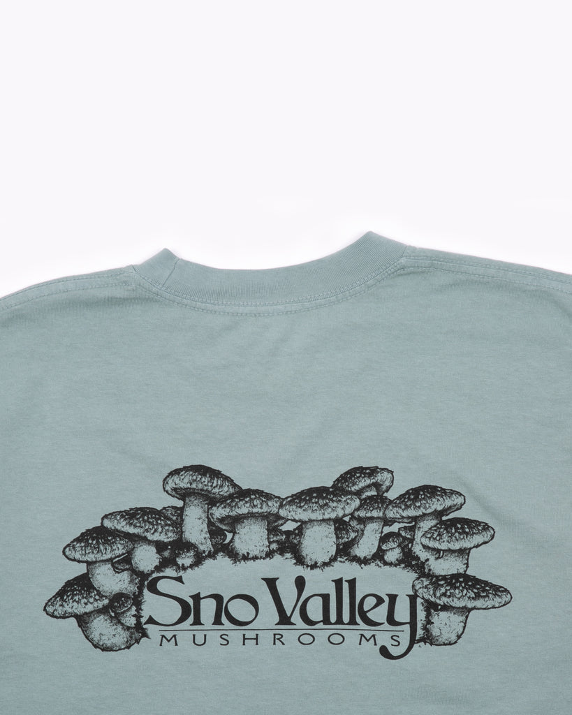 Sno-Valley L/S Jersey - Mint